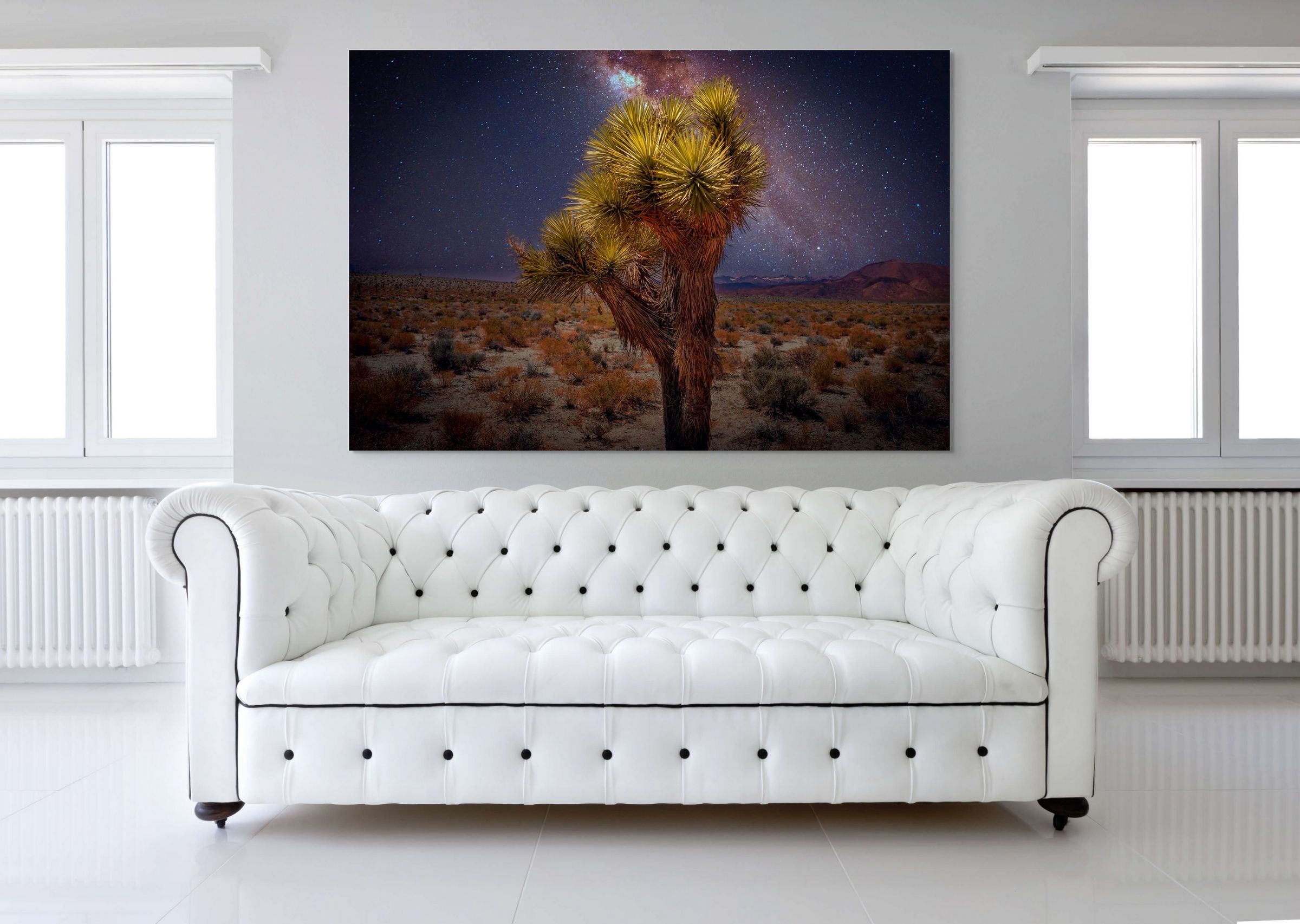 Strieby Fine Landscapes / Joshua Tree Fine Art